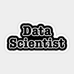 Data Scientist